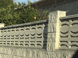 187-08-01-2026 IMG_3386